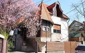 Tulipan Vendeghaz